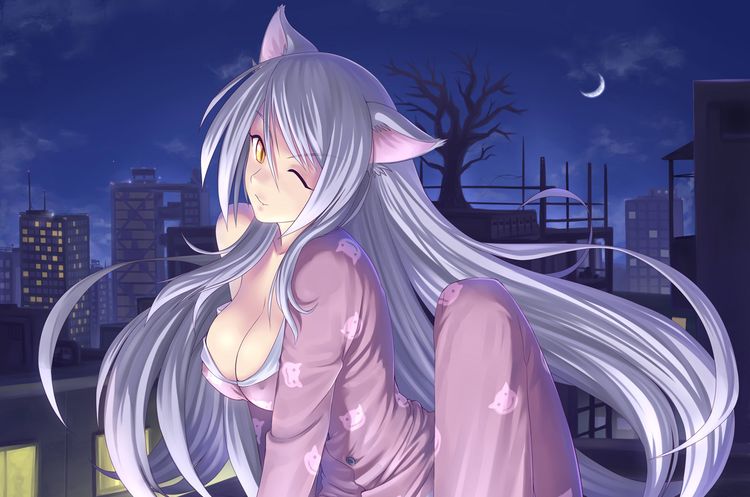 Anime mujer gato