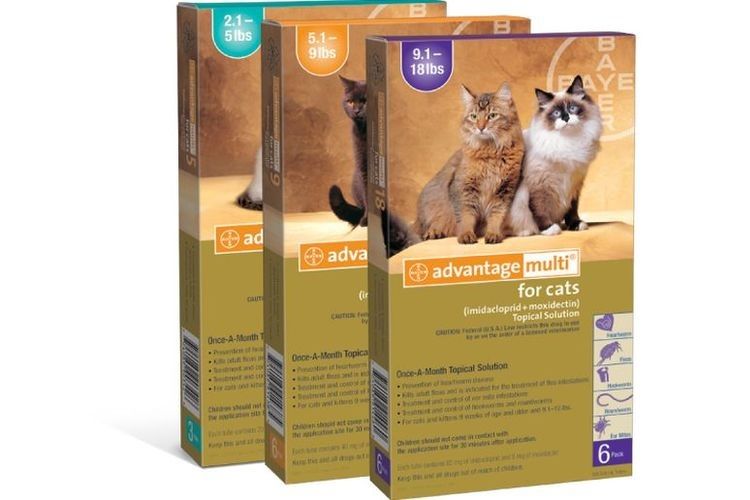 Gotas antipulgas para gatos