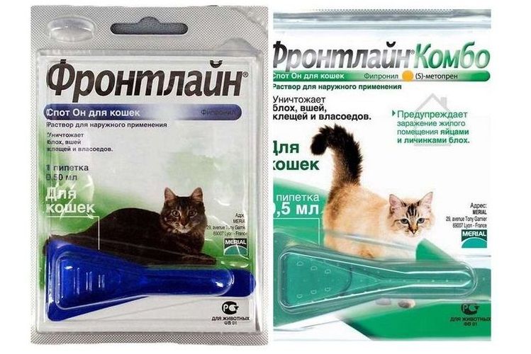 Gotas antipulgas Frontline para gatos
