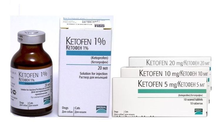 Ketofen para perros
