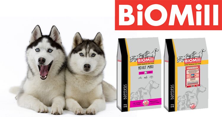Husky y alimento Biomill