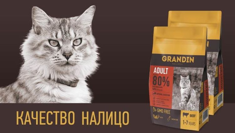 Pienso Grandin para gatos