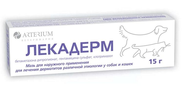 Lekaderm para gatos