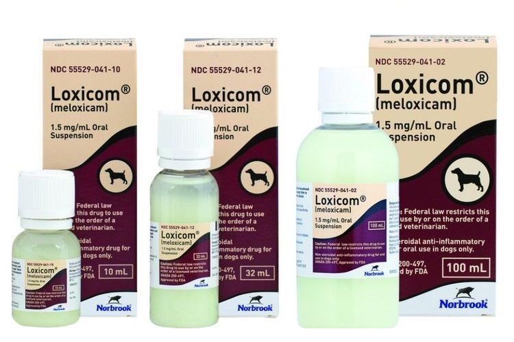 Loxicom para perros