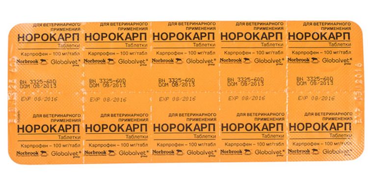 Norocarp Tabletten