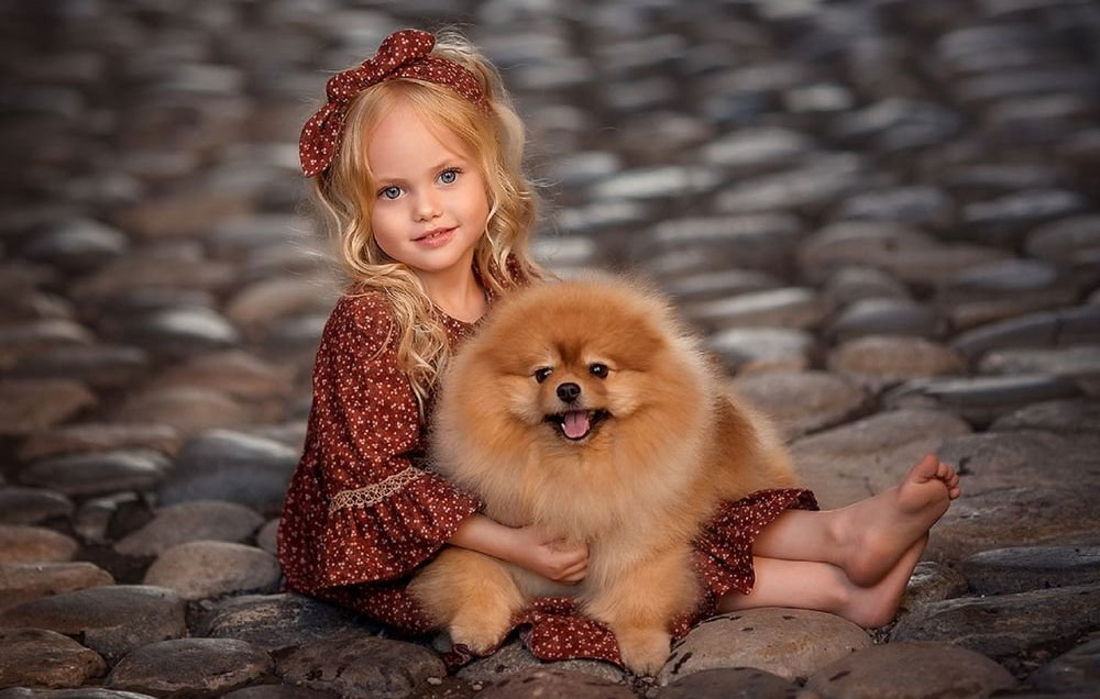 Spitz y niño