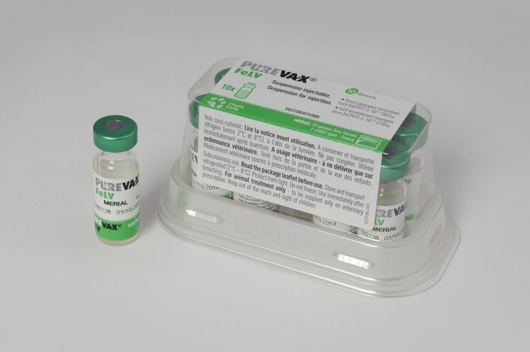 Purevax para gatos