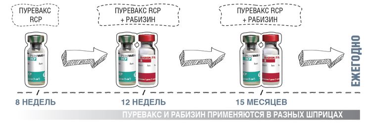 Purevax y Rabisin