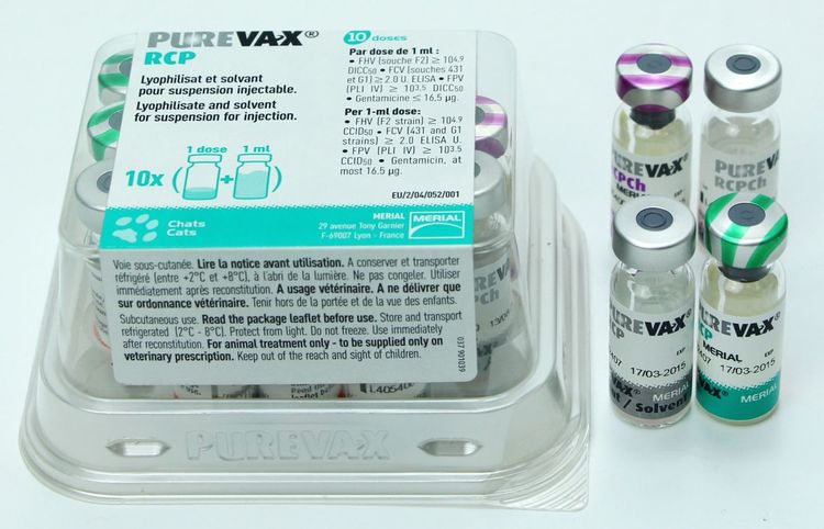 Purevax para gatos