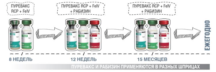 Combinación de Rabisin y Purevax