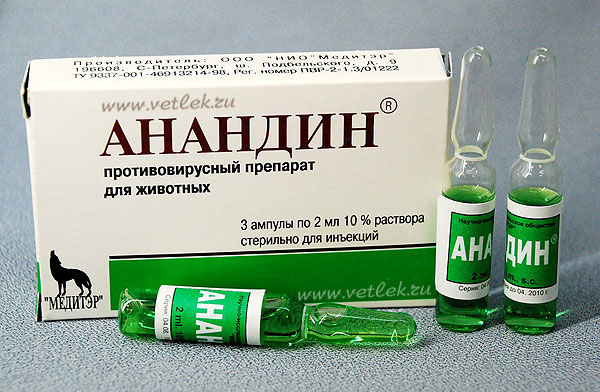 Solución de Anandin para gatos
