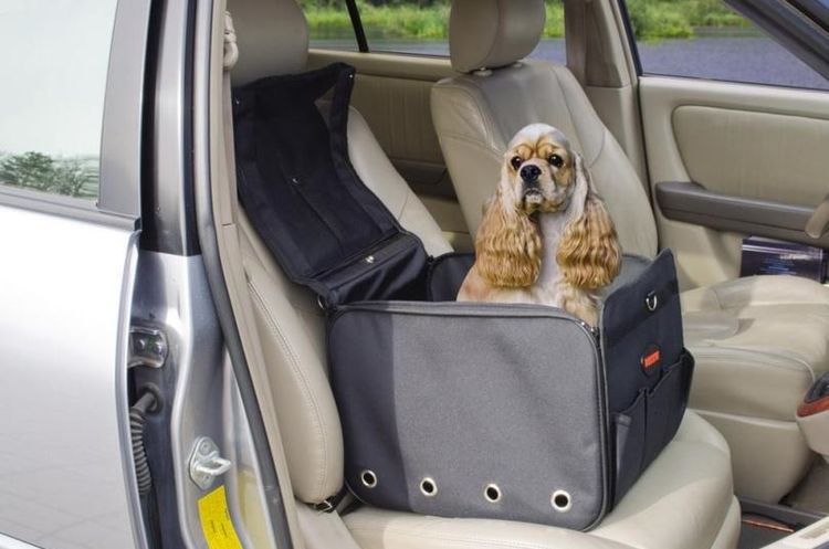 Bolsa de coche para perros