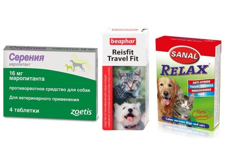 Medicamentos contra el mareo en perros