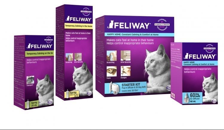 Felivey para gatos