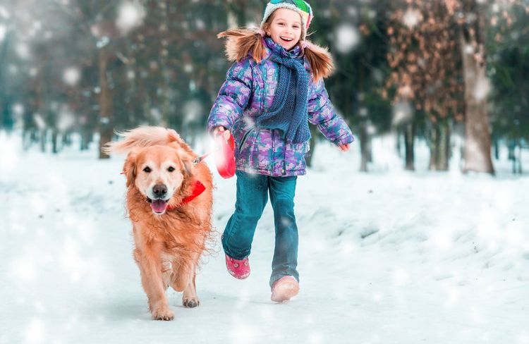 Niña con un retriever