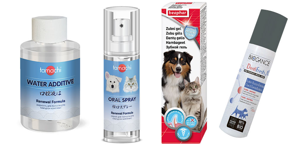 Productos contra el sarro dental en gatos y perros