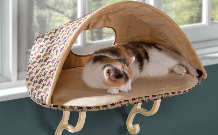 Cama para gato
