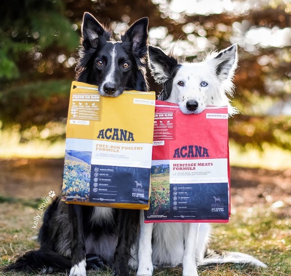 Acana comida para perros