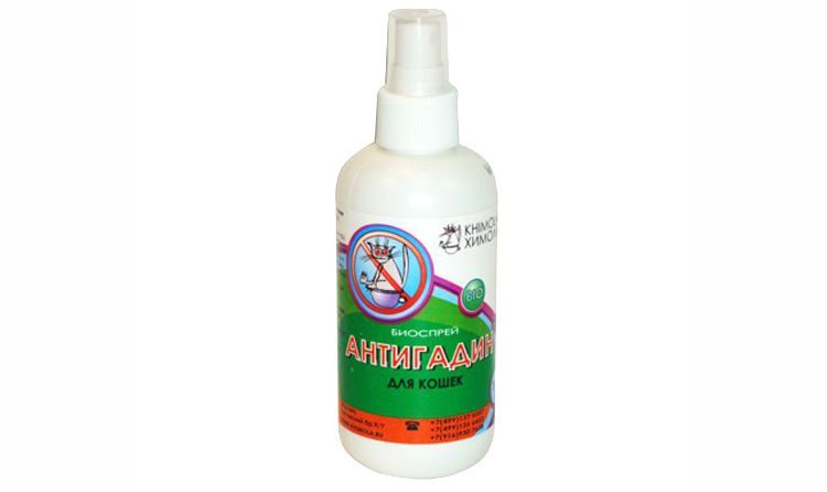 Antigadín para gatos de Jímola