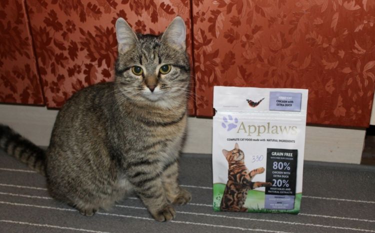 Gato y envase de comida Applaws