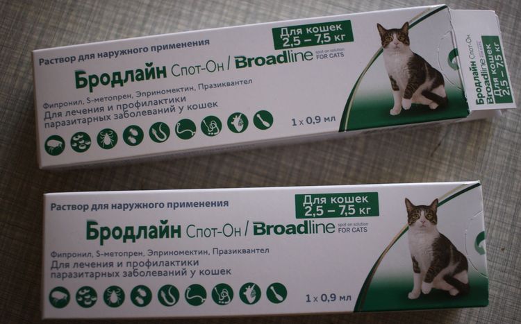 Broadline Spot On para gatos