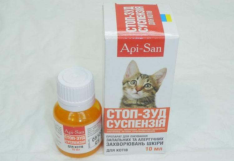 Stop-zud para gatos