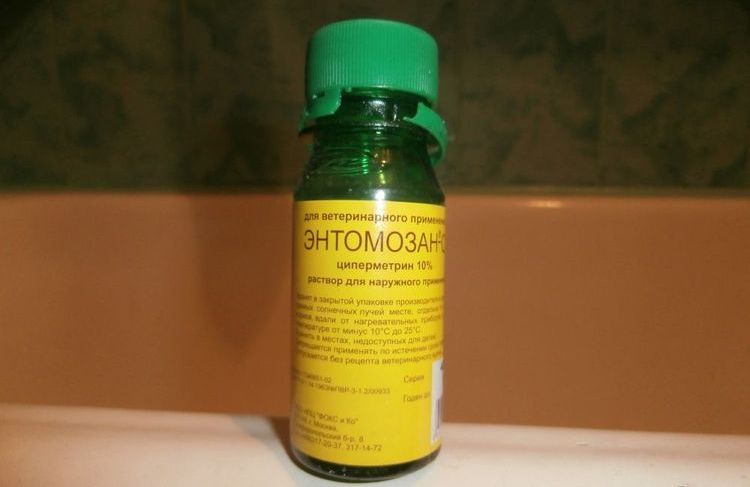 Entomozan S para gatos