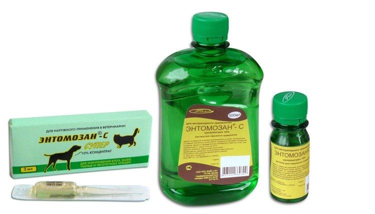 Entomozan S para gatos