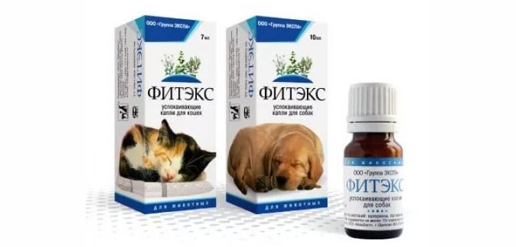 Fithex für Hunde