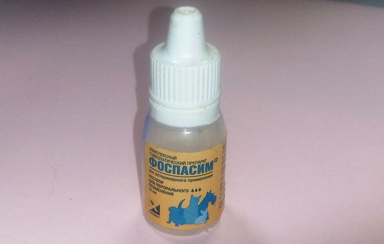 Fospasim para gatos