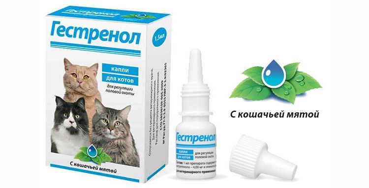 Gotas de Gestrenol para gatos