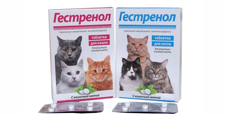 Tabletas de Gestrenol para gatas y gatos
