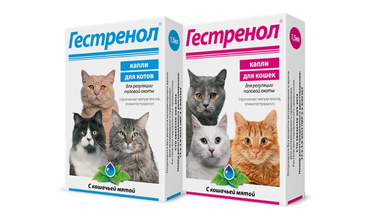 Gotas Gestrenol para gatos y gatas