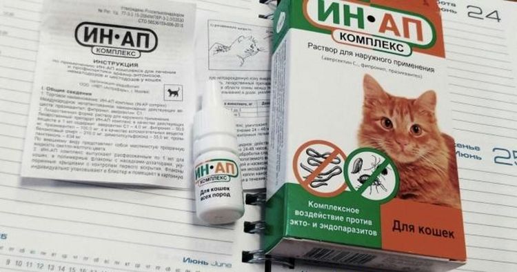 Complejo IN-AP para gatos