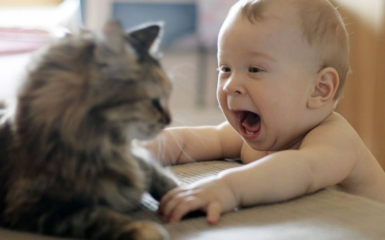 Niño y gato