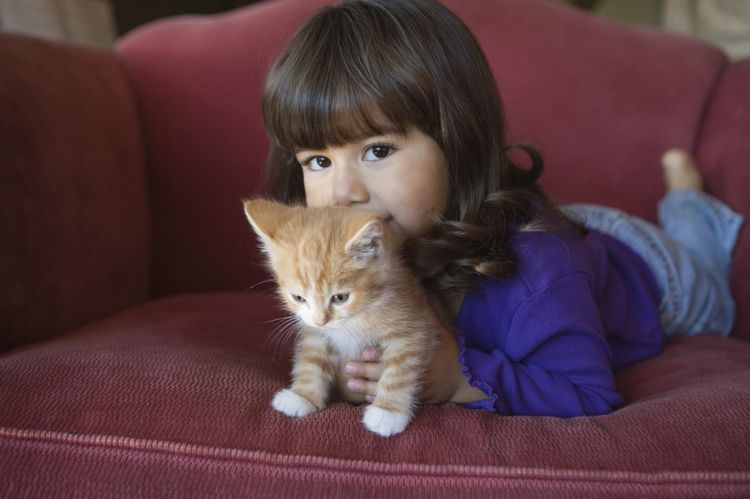 Cómo se manifiesta la alergia a los gatos en niños