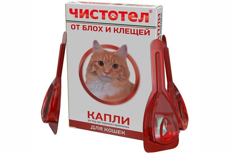 Gotas Chistotel para gatos