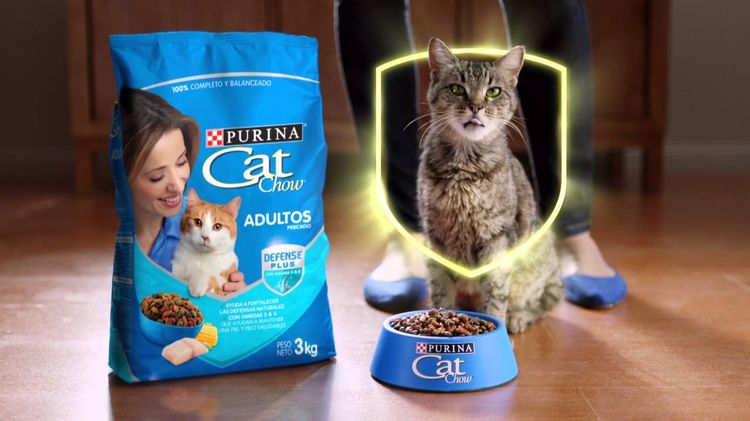Gato y alimento Cat Chow