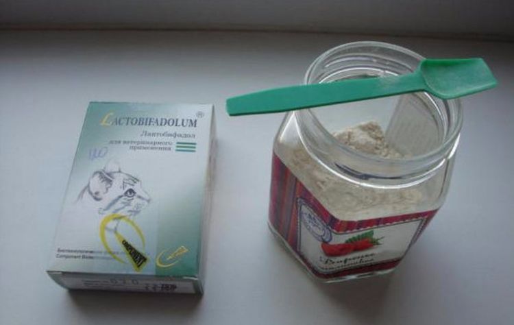 Lactobifadol para gatos