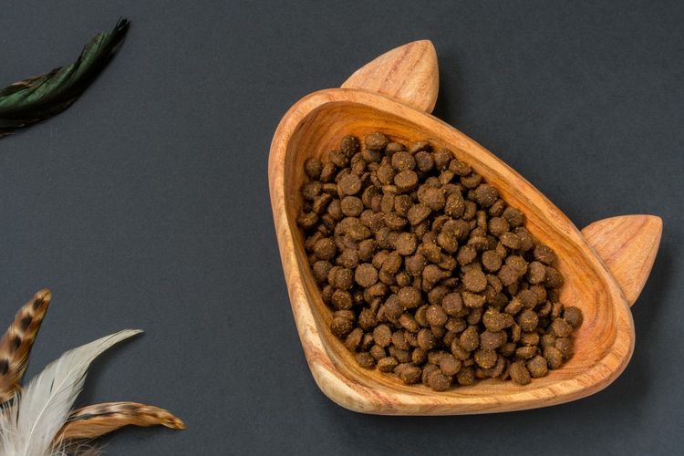Katzenfutter in einer Schüssel