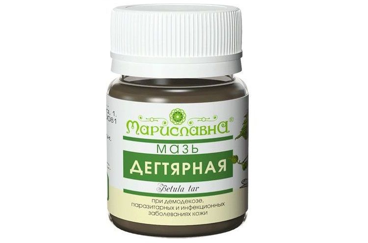 Ungüento de alquitrán para la tiña en gatos y gatas