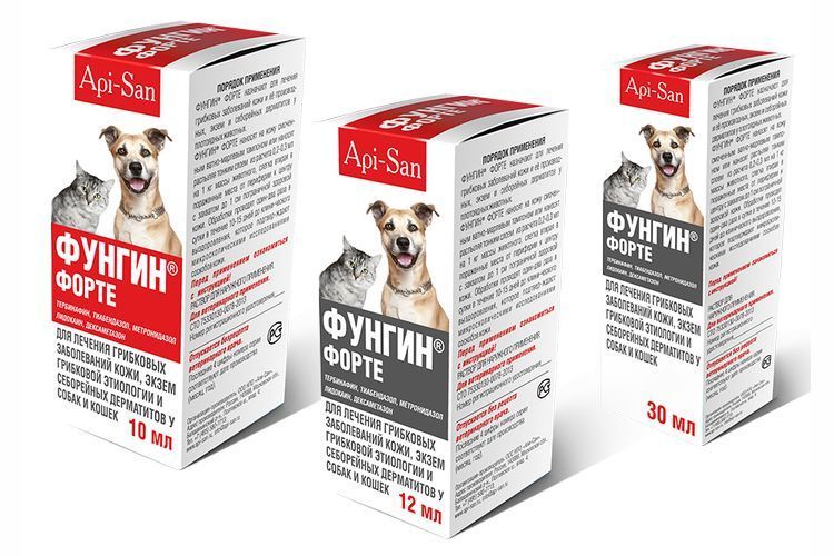 Fungin para la tiña en gatos