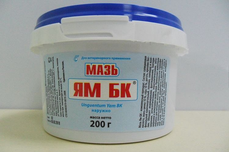 Salbe JAM BK für Katzen