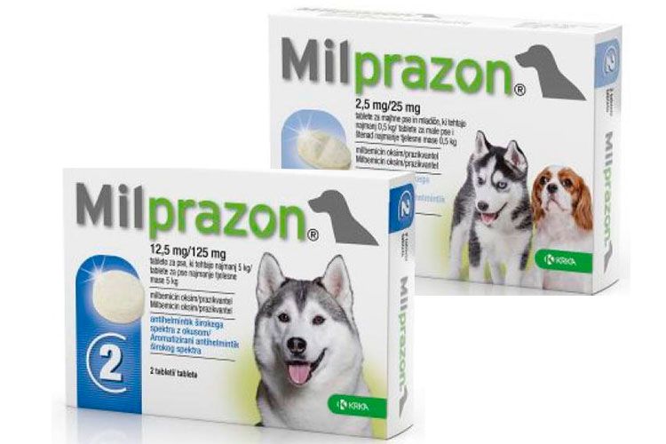 Milprazon para perros