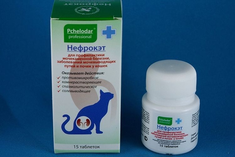 Nefrocat para gatos