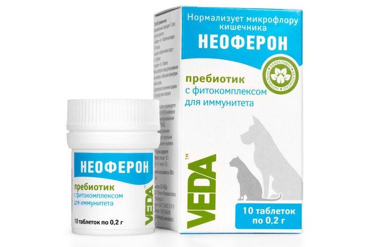 Neoferon für Katzen