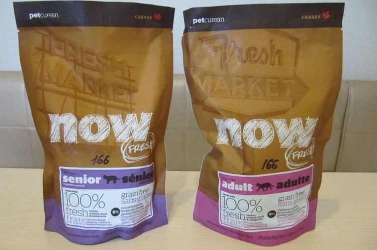 Now Natural Holistic - comida para gatos