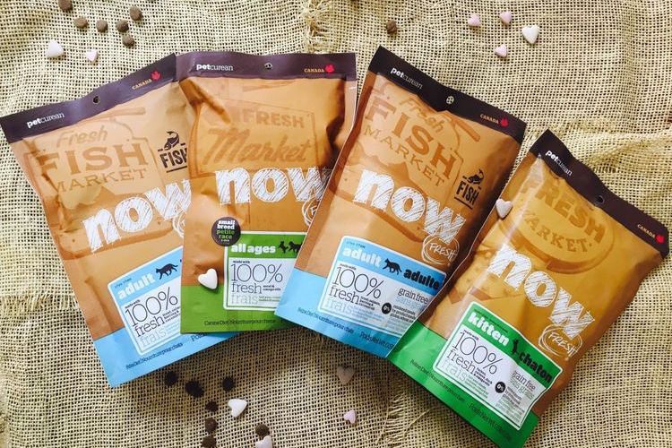 Now Natural Holistic - comida para gatos
