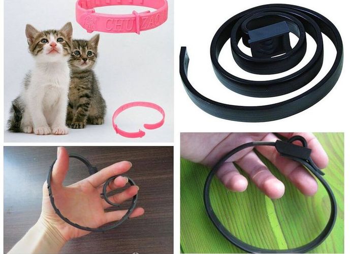Collar antipulgas para gatos
