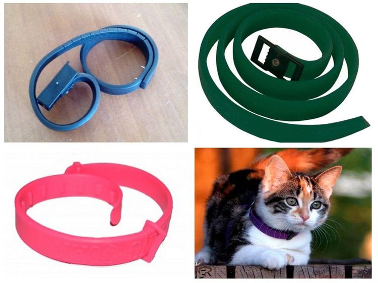 Collar antipulgas para gatos